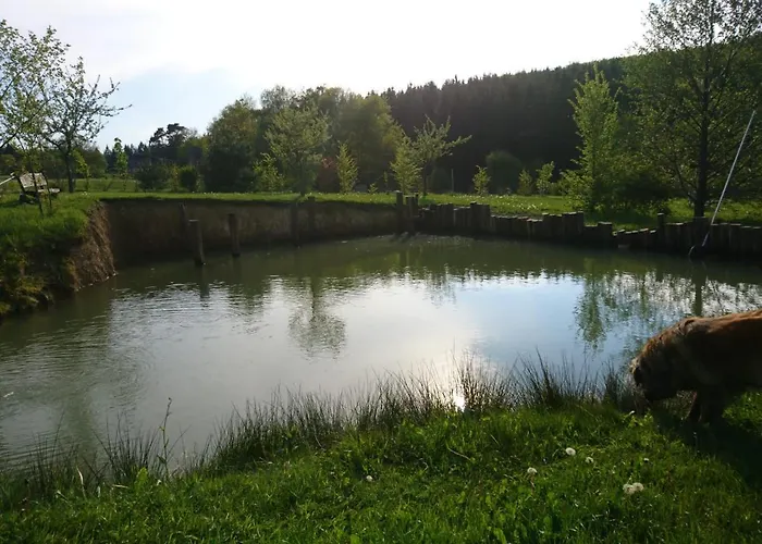 Apartment Hohe Acht Kaltenborn (Rhineland-Palatinate)