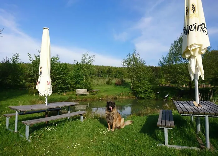 Hohe Acht * Kaltenborn (Rhineland-Palatinate)