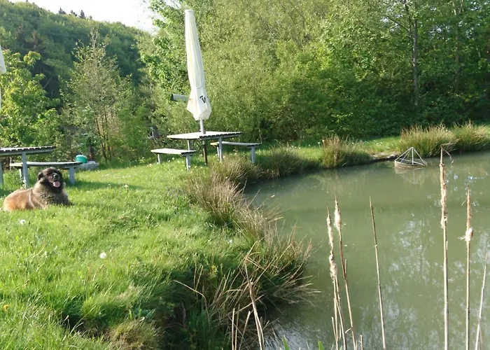 Hohe Acht Lejlighed *